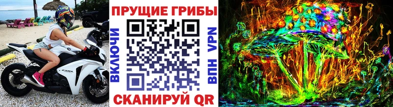 Псилоцибиновые грибы ЛСД  Володарск 