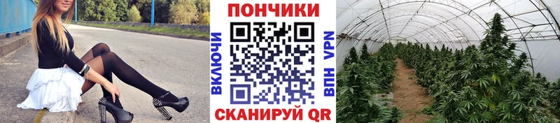 Бошки Шишки гибрид  hydra зеркало  Володарск  цены наркотик 